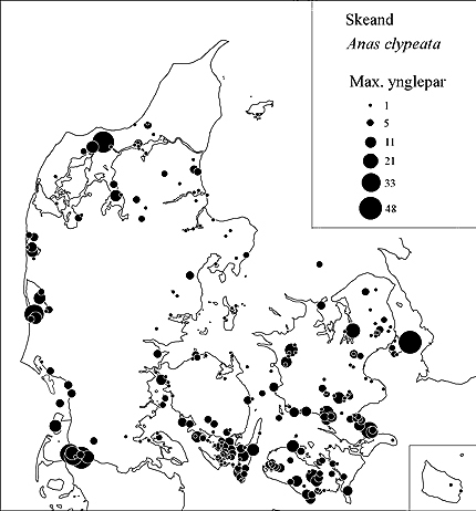 Ynglebestandens størrelse opgjort ud fra DOFs lokalitetsregistreringer i 1993-96.